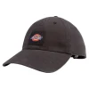 Dickies Men's Washed Canvas Cap